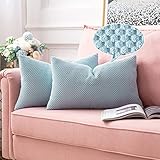 MIULEE 2er Set Kissenbezüge Dekokissen Körnig Dekorativ Kissenbezug Kissenhülle Sofakissen Deko Bezug Weich Couchkissen Zierkissen Kissen für Wohnzimmer Schlafzimmer 30x50 cm Wasserblau