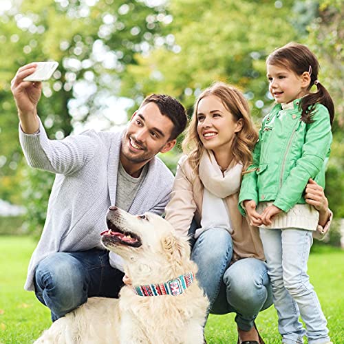 Personalized Dog Collar, Custom Engraving With Pet Name Phone Number Id Tag For Small Medium Large Breeds #TOP5