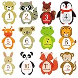 Qyeaber Newborn Baby 1-12 Months Photo Props - Animal Themed Stickers for Baby Boy or Girl - Monthly Milestone Keepsake