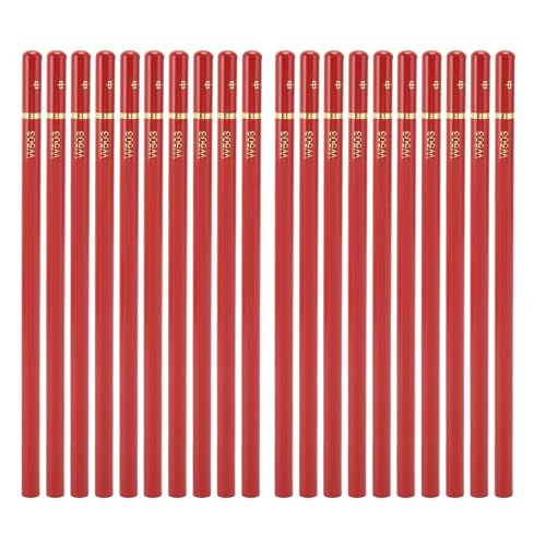 KDUTYE Juego de 20 lápices de dibujo con carbón profesional inquebrantable para boceto, mezcla y coloración (Neutral)