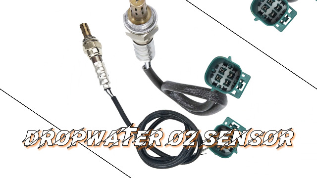 Amazon.com: Dropwater 1 Pair Upstream and Downstream O2