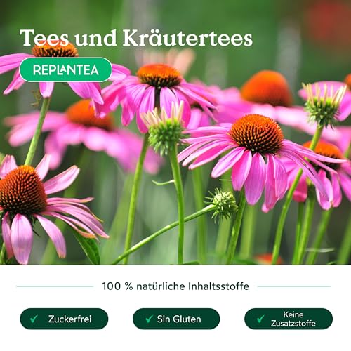 BIO Echinacea Tee 100g (Sonnenhut Tee) | Natürliche Unterstützung für das Immunsystem | Kräutertee lose zur Stärkung der Abwehrkräfte | REPLANTEA
