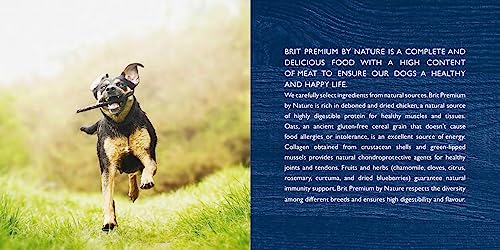 Brit Premium by Nature Chicken Large Adult – Dry Dog Food – 8 kg – Image 5