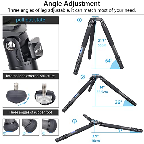 Amazon.com: ARTCISE: TRIPOD