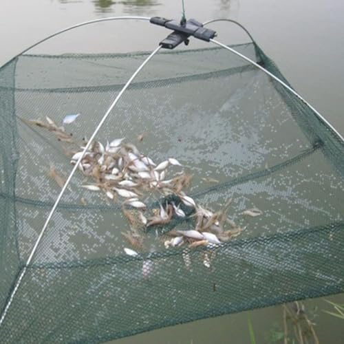 Filet de pêche portable pliable - Cage de pêche - Pour poisson, homard, crevettes, crabes, crevettes, crevettes, crevettes, crevettes, crevettes, crabes -...