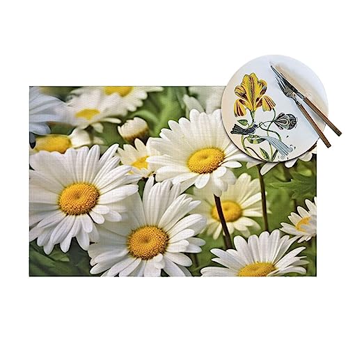 Sets de table imperméables en PVC résistant à la chaleur | Tapis de table isolant durable - 6