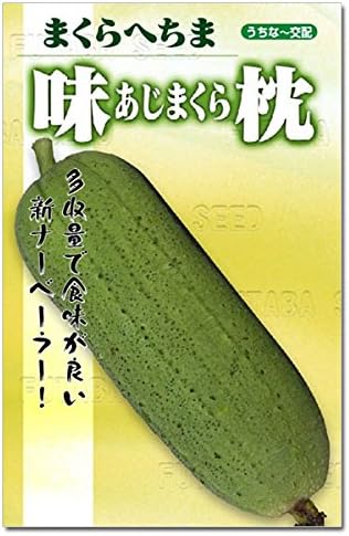 Amazon Co Jp ナーベラー 食用ヘチマ 味枕 あじまくら の種 2袋セット まくら型で長日期にメス花が多い品種 ホーム キッチン