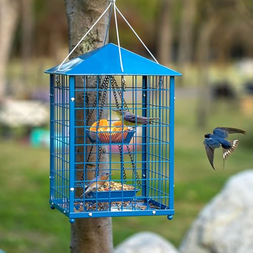 Mosloly Bluebird Feeders for Outside Hanging, Durable Metal, Huge Caged Squirrel Proof Mealworms Blue Bird Feeders, DIY Wild Bird Feeders Outdoors, Protect Small Birds, 2lbs Seed+1 Mealworms Cup