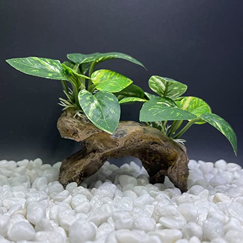Smoothedo-Pets GZDY Fish Tank Decorations Aquarium Decor Ornaments Betta Silk Leaf Pad Hammock Artifical Driftwood Cave Goldfish Bowl Accessories thumb #4