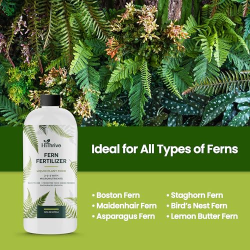 Fertilizante Líquido 16oz para Helechos Vivos miniatura 6