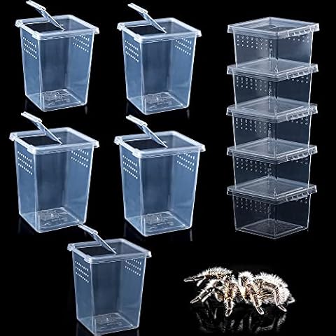 10 Pack Spider Terrariums Breeding Box Small Reptile Hatching Container Acrylic Feeding Box for Arboreal Spider Tarantula Mantis Scorpion Centipede Insect (5 High+5 Small) Cover
