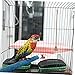 POPETPOP Bird Cage Cleaning Tools Set Brass Bird Poop Remover for Pigeon Poop Removal