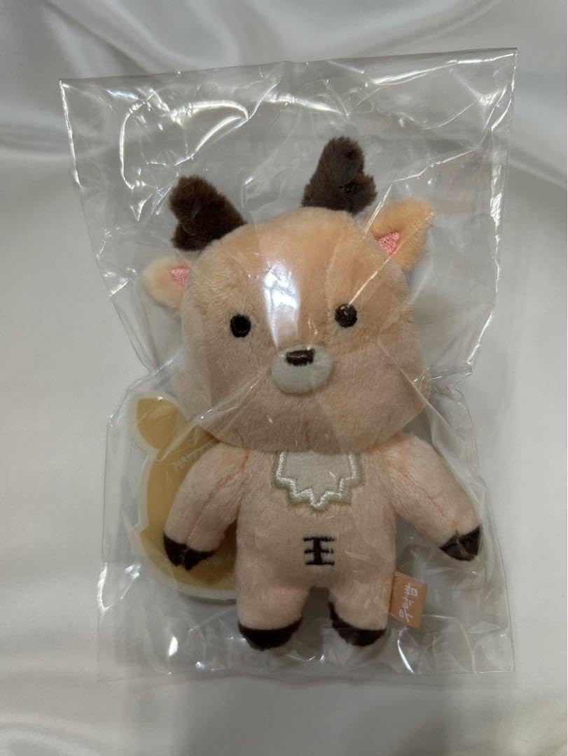 Amazon.co.jp: RIIZE ぬいぐるみ バレンタイン MD ソンチャン