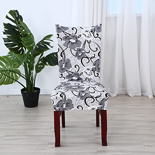Image of House of Quirk Elastic Chair Cover Stretch Removable Washable Short Dining Chair Cover Protector Seat Slipcover (Pack of 1, White /Grey Flower)