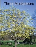 Three Musketeers 8176937703 Book Cover