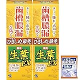 【Amazon.co.jp限定】【まとめ買い】生葉EX(しょうようEX) 歯槽膿漏を防ぐ 薬用ハミガキ 和漢ハーブの香味 100g ×2個(おまけ付き)【医薬部外品】