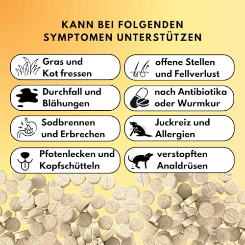 People who Kaer Darm Balance Drops für Hunde – mit Pro- & Präbiotika zur Unterstützung bei Sodbrennen, Gras- & Kotfressen, Analdrüsenproblemen, Durchfall & Darmsanierung – 180 Drops Made in Germany