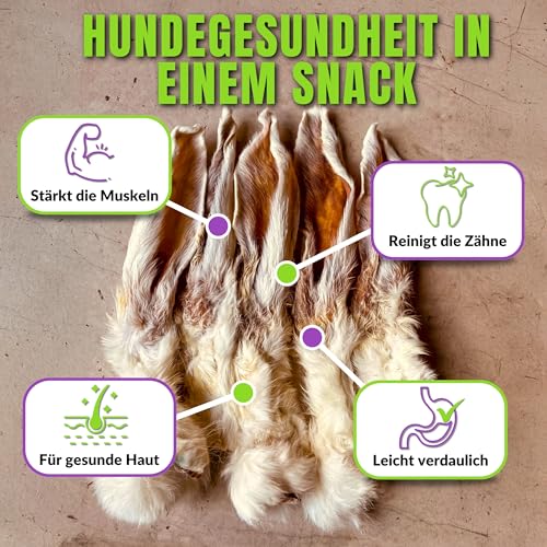 Naturbiss Hasenohren mit Fell für Hunde – 20 Stück - Barf Leckerli Hypoallergen Kausnack für Zahnpflege, Kaninchenohren 100% Natürlich - Welpen, Senioren – Trockenbarf für Hund