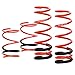 Swift 4N911 SPORT SPRINGS