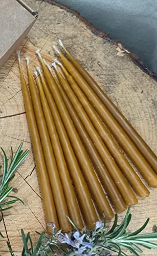 GANESHOO 50 Candelas Velas de miel artesanales cera virgen de abeja 100% natural endulzamiento amor...