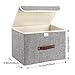 TYEERS Collapsible Storage Boxes, Washable Fabric Storage Bins with Lids, 14.9x9.8x9.8 inches, 2 Pack, Gray
