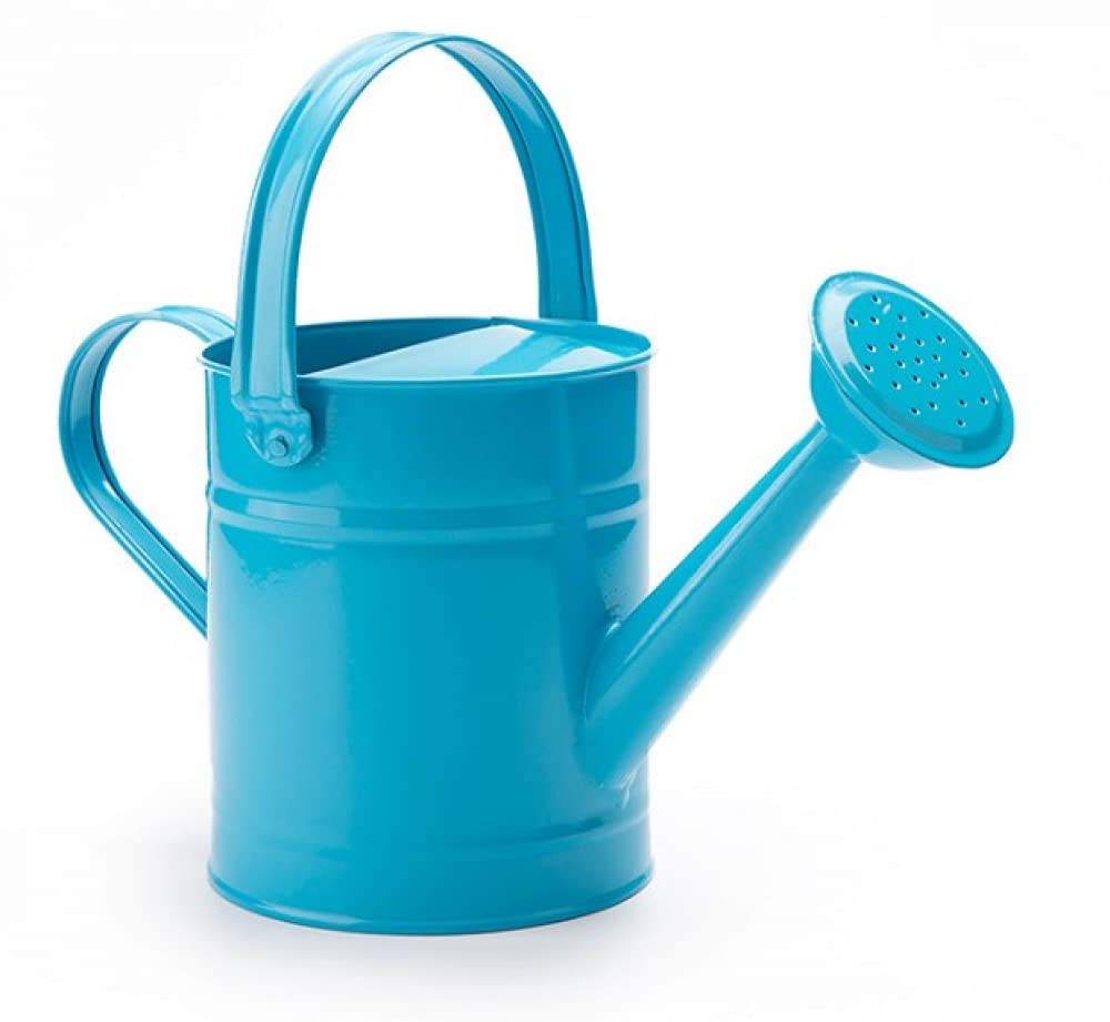 Annaffiatoio in Metallo Annaffiatoio da Giardino Secchio per Annaffiare in Ferro Color Caramella Spolverare in Latta Bollitore per Piante da Giardino Fiori-Blue