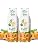 2 x Apricot - Light