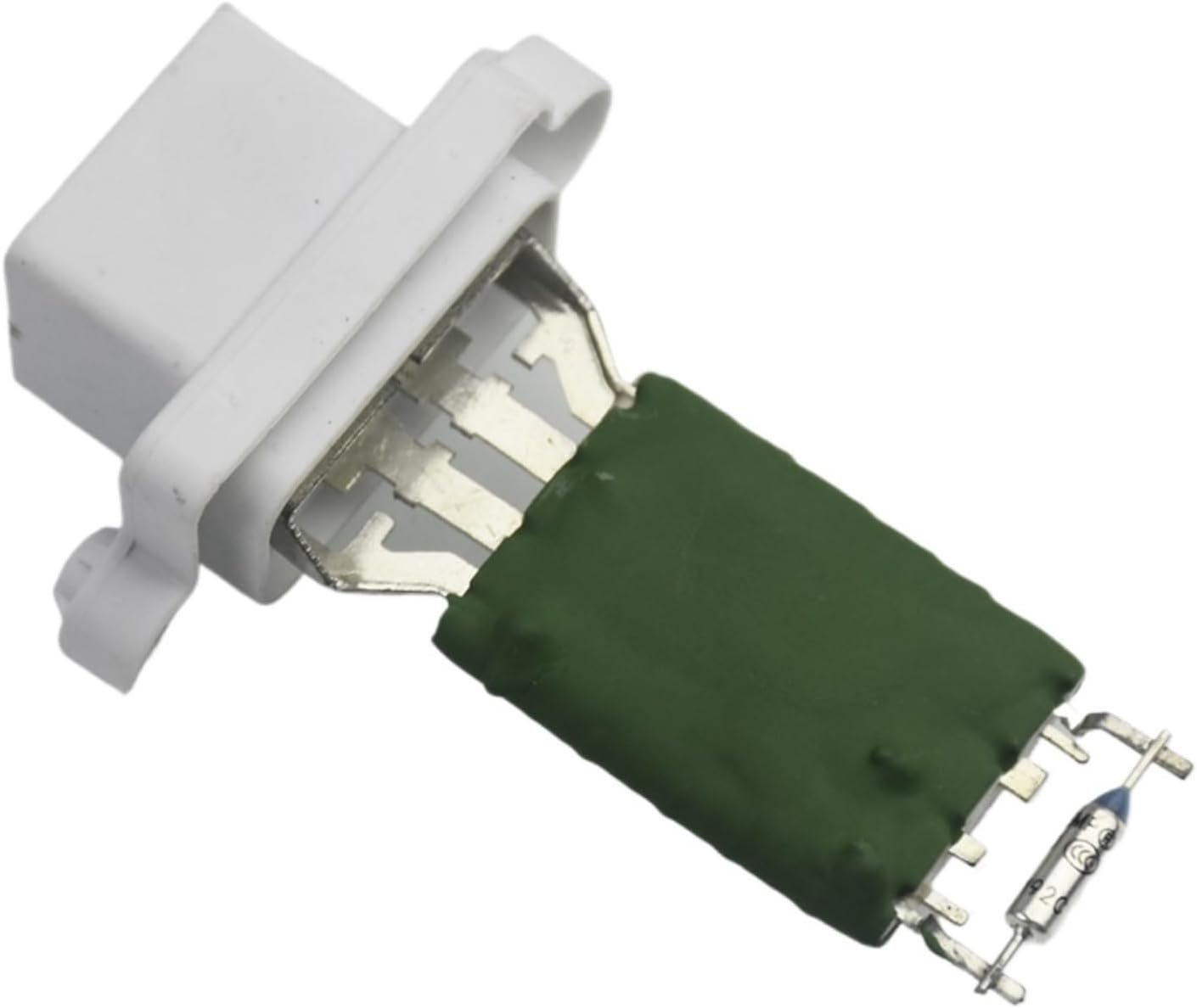 ①②フェデネージュボンソワール 6苗 桂楓園 メルカリ便発送 2025年