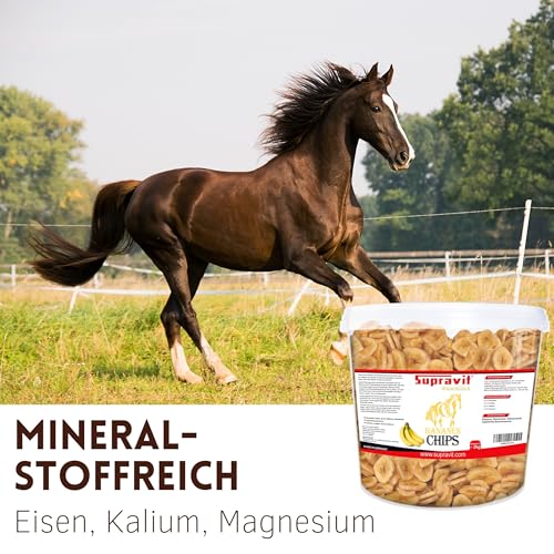 Supravit Bananenchips für Pferde – 2kg Eimer – knusprige Bananenscheiben aus 100% echten Bananen – appetitanregendes Ergänzungsfuttermittel – ideales Pferdeleckerli