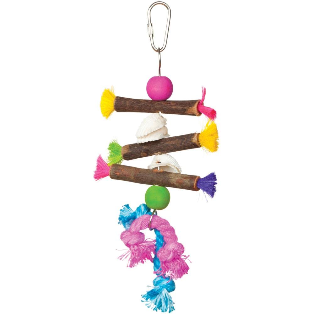 Prevue Hendryx 62505 Tropical plagegeistern Muscheln und Sticks Vogel Spielzeug