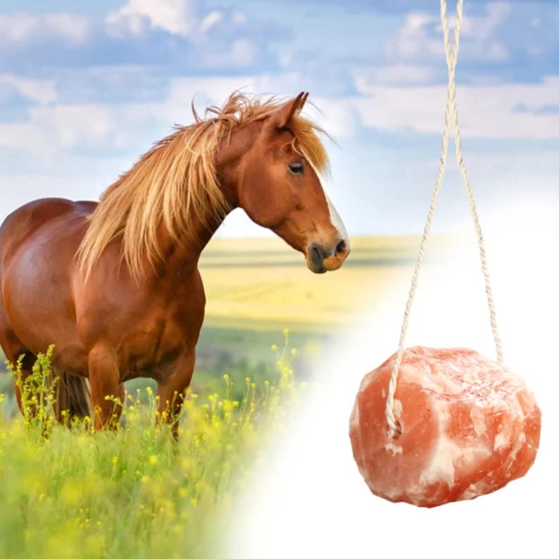 Himalayan Animal Salt Lick Block 2 to 3 kg Each, Pack of 2 Rock Salt Food Animal Wellness (Animal Mineral Salt Block - Pack of 2)-image-5