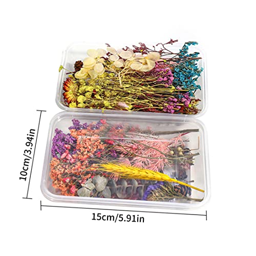Flores Secas Resina Mezcladas Naturales Decorativas 2PCS miniatura 2