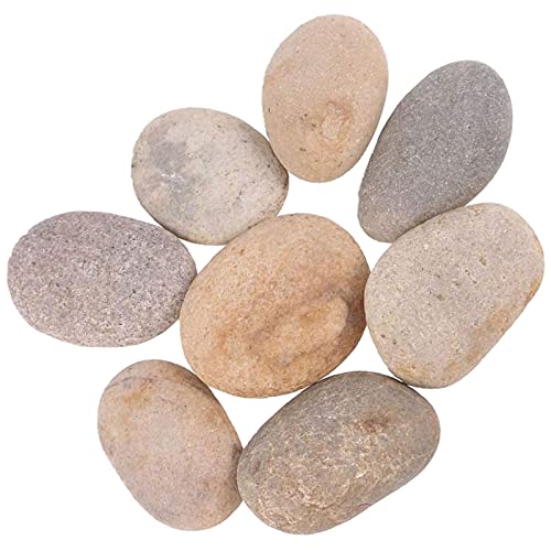 ZLIUTIN 10 Pièces Galets de Plage pour Dessiner Pierres Galets Naturelles Pierres Plates à Peindre Convient pour La Peinture et La Décoration de Jardin Pierre de Décoration D'Aquarium 4-6cm