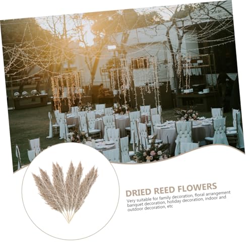 Arreglo de flores secas románticas para decoración miniatura 7
