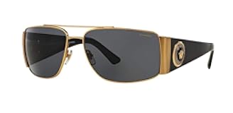 Mens Sunglasses (VE2163) Metal