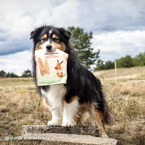 Sammy´s Hühnchenfilet | Fleischige Snacks für Hunde | Getreidefrei | Single Animal Protein | ohne Zucker | ohne Farb- und Aromastoffe | 1 x 190 g