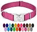 Country Brook Petz - Premium Nylon Dog Collar with Metal Buckle - Vibrant 22 Color Selection (Medium, 3/4 Inch Wide)