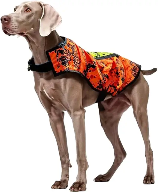 Gilet de chasse pour chien - Sécurité haute visibilité camouflage - Petits et grands chiens