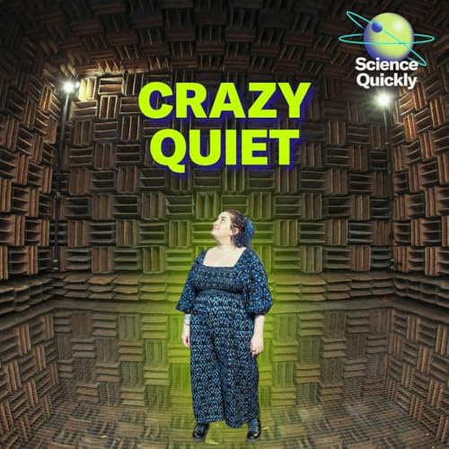Enter One of the World’s Quietest Rooms