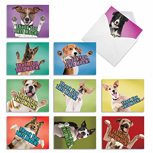 Cartes de remerciement chiens de l'ensemble M2369TYG avec enveloppes blanches pour correspondance