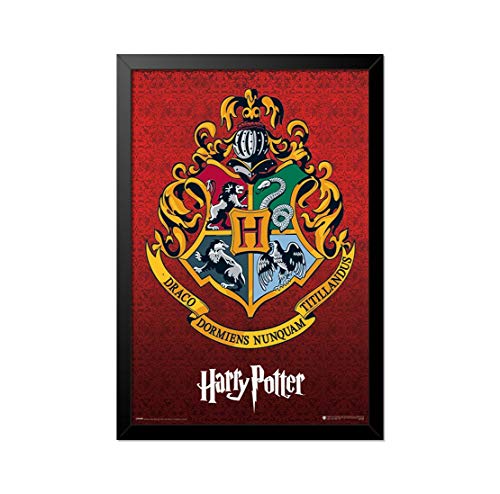 Quadro Poster Harry Potter 33x23cm
