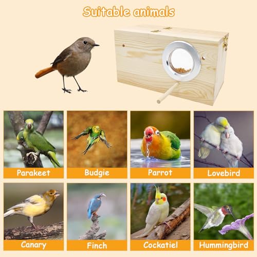 Image of PINVNBY Large Natural Wood Parakeet Nesting Box Budgie Breeding Box Acrylic Bird Nest for Cage Transparent Panoramic for Birds, Parrots, Cockatiels, Lovebirds, Canaries (L: 11.8 x 5.7 x 5.9 inch)
