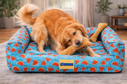 Image of SITSNOOZE Medium Dog Bed (5 to 10kg) for Beagle, Pug, French Bulldog - Extra Soft Washable Lounger Cushion, Orthopedic Mattress, Waterproof Anti-Slip Base Luxury Cotton Pet Bed (Print 20, M)