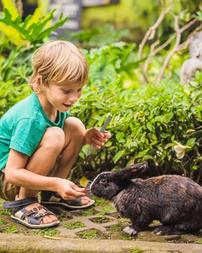 Jouets à mâcher pour lapins ERKOON pour éviter les morsures de cage - 8
