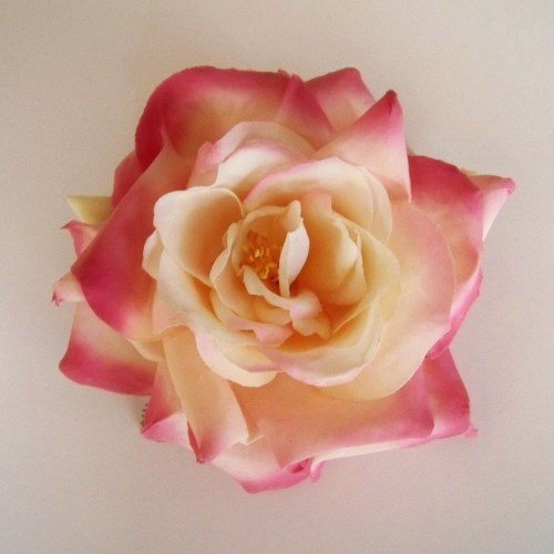 Open Garden Rose Artificial Flower Hair Clip/Pin Brooch, Ivory Pink Clothing