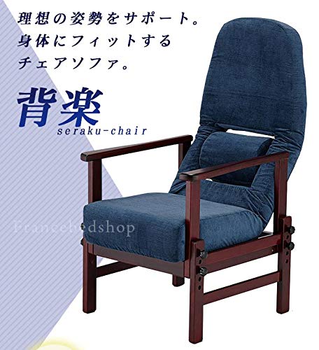 Amazon.co.jp: フランスベッド リハテック 背楽チェア SEC-01