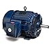 Marathon Electric/Regal Beloit - 215TTFS7290-7-1/2, 1-29/32 HP Cooling Tower Motor, 3-Phase, 1765/875 Nameplate RPM, 460 Voltage, Frame 215T