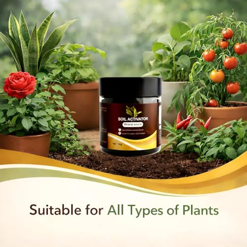 Image of Soil Activated Treasure Plant Growth Booster | Improves Soil Quality & Root Support | Suitable for Indoor & Outdoor Plants | for Pots, Gardens & Home Plants | Easy to Use 100g (Pack of 3)