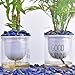 SigMntun Polished Lapis Lazuli Crystal Chips Set, 0.4