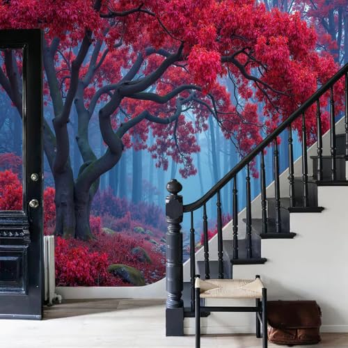 Papier peint forêt brumeuse rouge pour dynamiser un mur de salon sombre